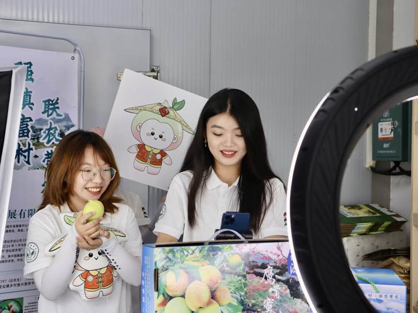 微信图片_20240725003308