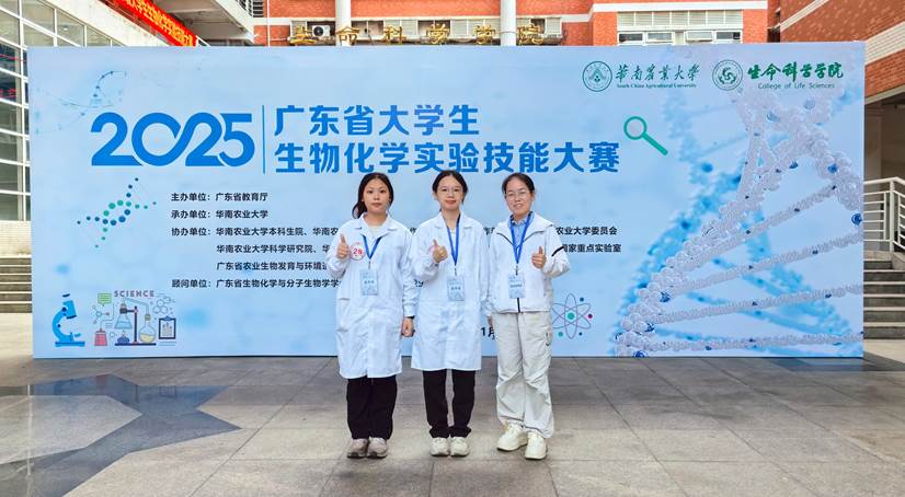 93eae9ff13067ccb7efb763bb1ecf0e2