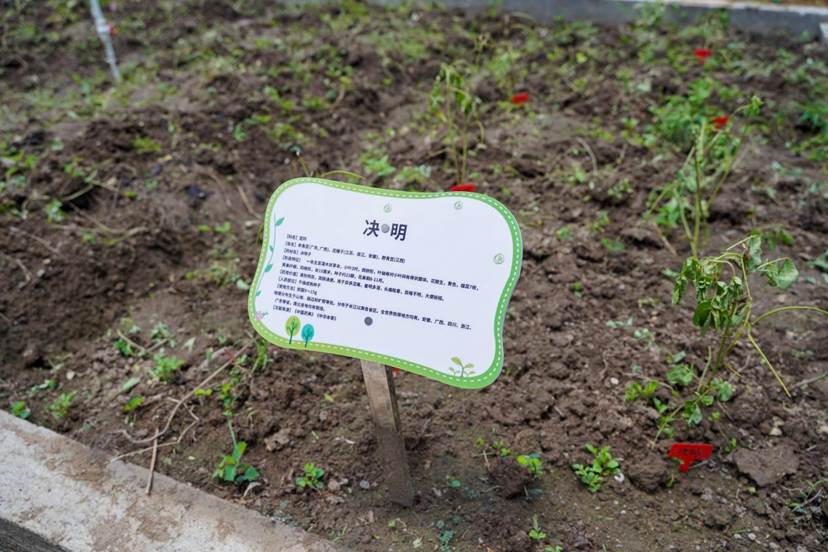 /Users/mattlee/Library/Containers/com.kingsoft.wpsoffice.mac/Data/tmp/picturecompress_20250719231808/output_1.jpgoutput_1